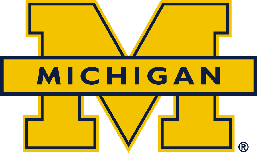 Michigan Wolverines 2016-Pres Secondary Logo t shirts iron on transfers